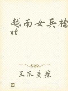 越南女兵档案txt