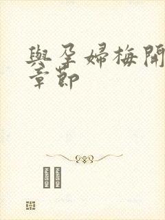 与孕妇梅开三度章节