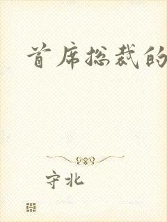 首席总裁的逃妻