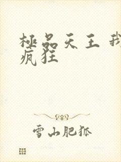 极品天王 我本疯狂
