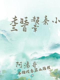 老旺超秦小雨第三百章
