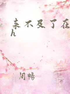 来不及了在车ch