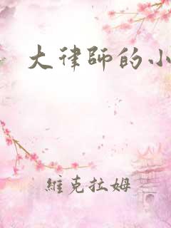 大律师的小老婆