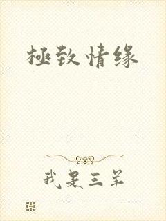 极致情缘