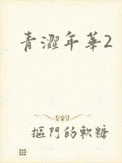 青涩年华2