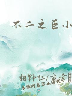 不二之臣小说