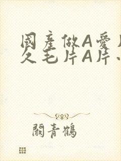 国产做A爱片久久毛片A片小说