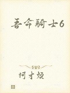 吾命骑士6