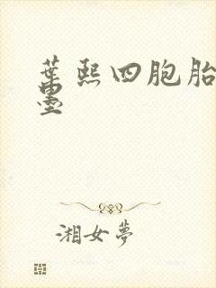 叶熙四胞胎厉子墨