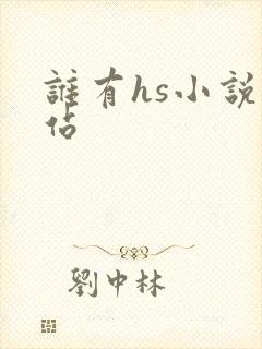 谁有hs小说网站