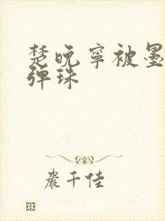 楚晚宁被墨燃塞弹珠