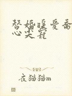 替婚暖爱乔少的心尖宠