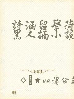 诗涵留学荷兰被黑人摘小说