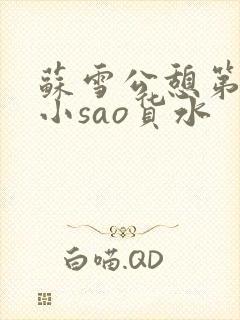 苏雪公憩第一章小sao货水