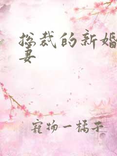 总裁的新婚下堂妻