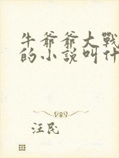 牛爷爷大战小丽的小说叫什么