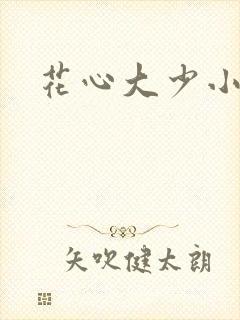 花心大少小说