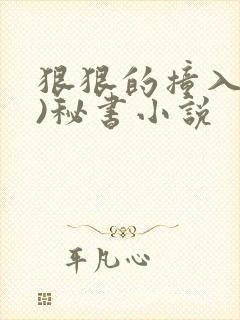 狠狠的撞入(h)秘书小说