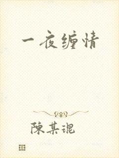 一夜缠情
