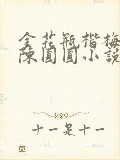 金花瓶楷梅花2陈圆圆小说