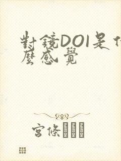 对镜DOI是什么感觉