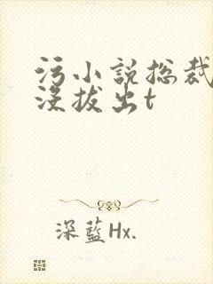 污小说总裁整夜没拔出t