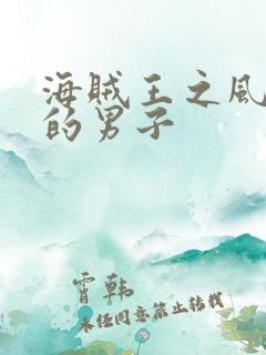海贼王之风一样的男子
