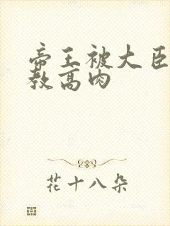 帝王被大臣们调教高肉