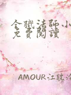 全职法师小说 免费阅读