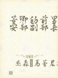 董卿的前男友公安部副部长