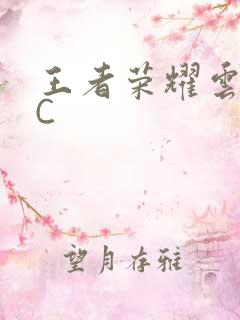 王者荣耀云缨被C