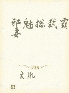 邪魅总裁霸占新妻