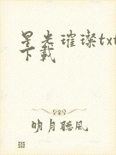 星光璀璨txt下载