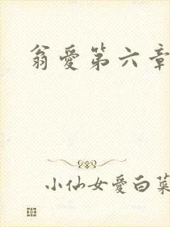 翁爱第六章