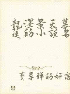 龙泽景天慕容青莲的小说名字