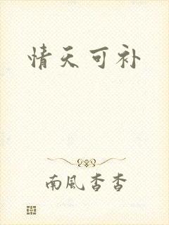 情天可补