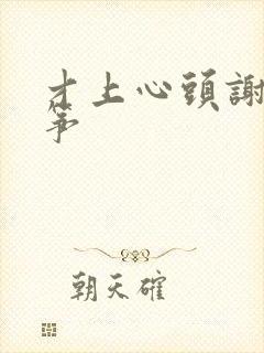 才上心头谢柳陆筝