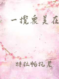 一揽众美在三国