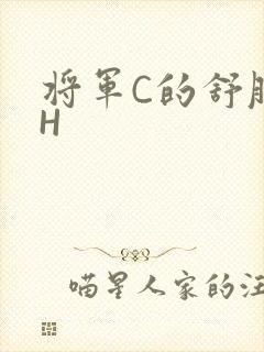 将军C的舒服么H