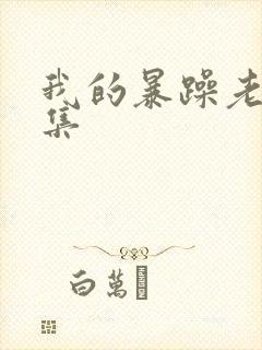 我的暴躁老妈全集