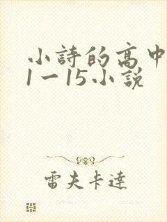 小诗的高中日记1一15小说