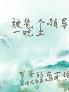 被几个领导玩弄一晚上