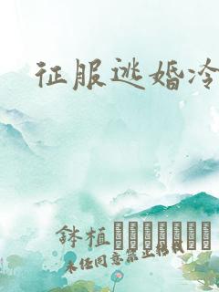 征服逃婚冷殿下