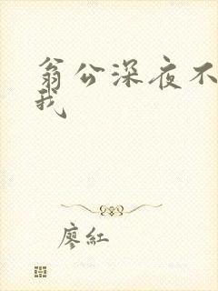 翁公深夜不停要我