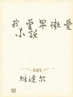 我曾卑微爱过你 小说