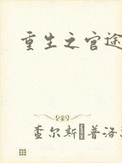 重生之官途风流