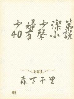 少妇少洁第1一40有声小说