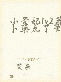 小贵妃1v2萝卜药丸了笔趣阁