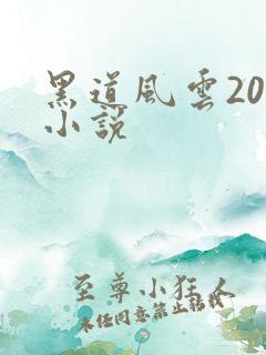黑道风云20年小说