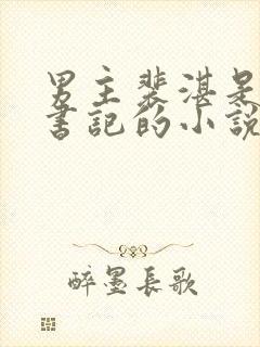 男主裴湛是省委书记的小说